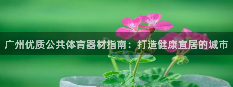 极悦平台网址AGHF8点C0M：广州优质公共体育器材