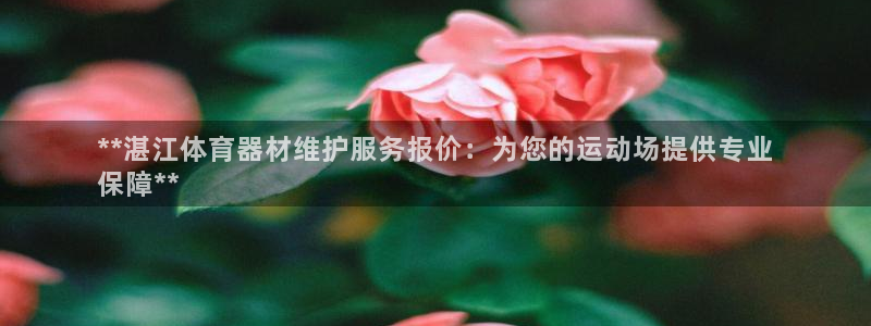 加盟极悦教育怎么样：**湛江体育器材维护服务报价：为