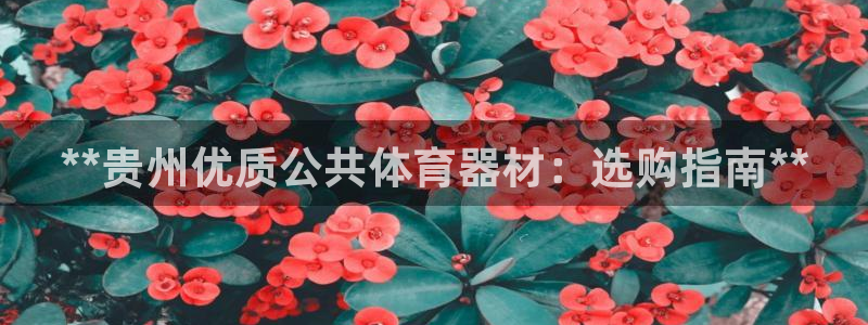 极悦平台代理怎么样可靠吗：**贵州优质公共体育器材：