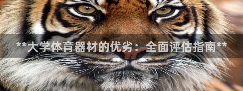 极悦娱乐现在叫什么：**大学体育器材的优劣：全面评估