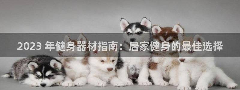极悦官网的登录方法是什么：2023 年健身器材指南：