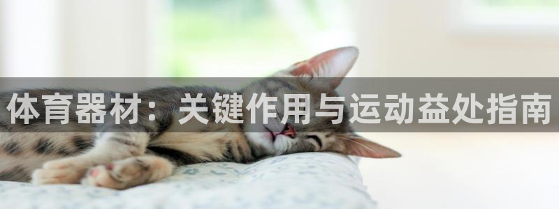 极悦平台官方网站登录不了：体育器材：关键作用与运动益