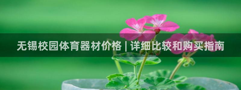极悦娱乐的创始人背景故事简介：无锡校园体育器材价格 