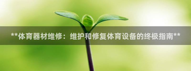 极悦平台是干什么的软件：**体育器材维修：维护和修复