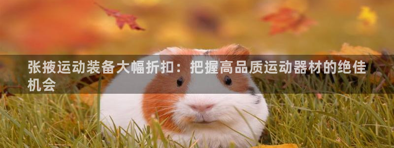 极悦平台官网下载中心网址：张掖运动装备大幅折扣：把握