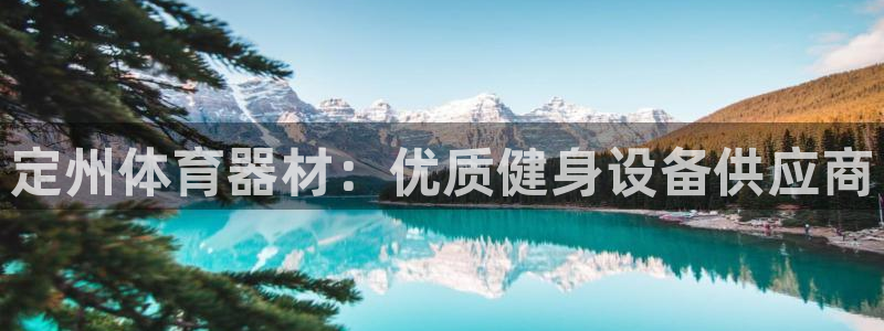 极悦娱乐分7O777：定州体育器材：优质健身设备供应