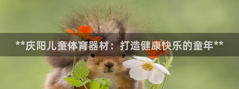 极悦娱乐方7O777：**庆阳儿童体育器材：打造健康