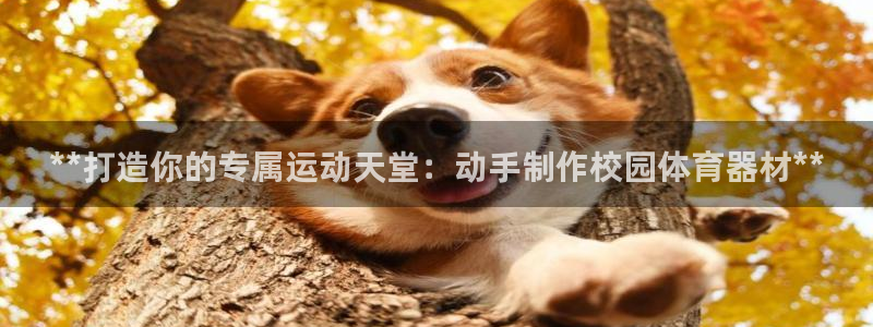 极悦娱乐贴吧最新消息：**打造你的专属运动天堂：动手