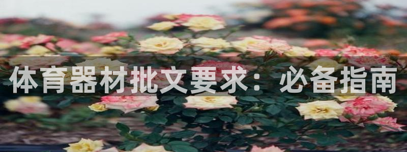 极悦平台注册官方网站下载安装：体育器材批文要求：必备