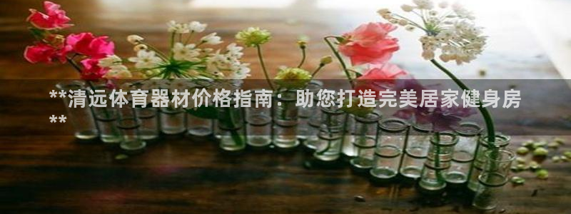 极悦官网首页登录入口网站：**清远体育器材价格指南：