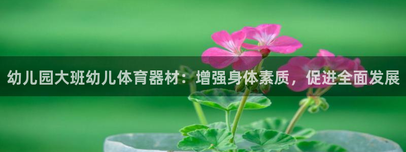 极悦娱乐创始人背景故事介绍：幼儿园大班幼儿体育器材：