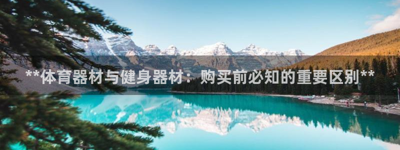 极悦官网的登录方法：**体育器材与健身器材：购买前必