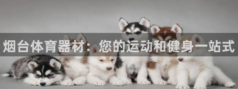 极悦益生菌猫粮怎么样：烟台体育器材：您的运动和健身一