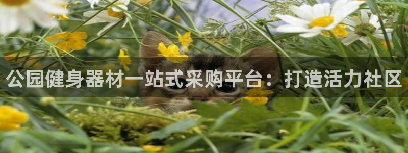 极悦平台登录好7.0.2.4安装：公园健身器材一站式