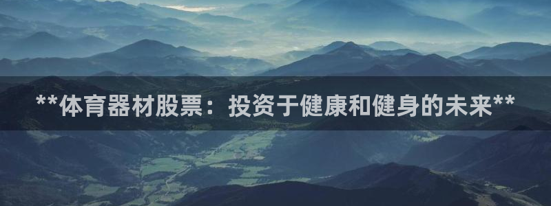 深圳极悦文化传媒有限公司：**体育器材股票：投资于健