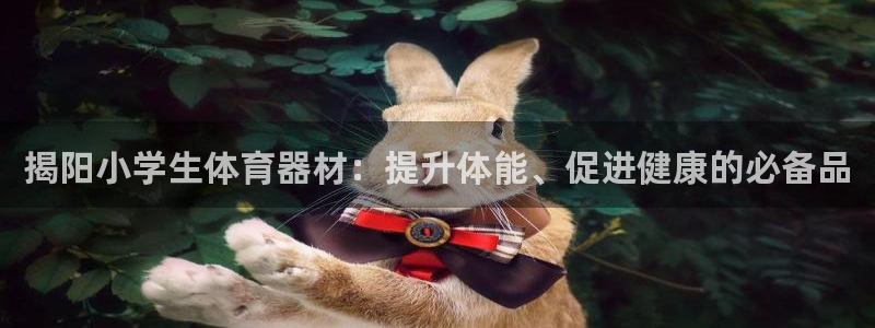 极悦娱乐分7O777：揭阳小学生体育器材：提升体能、