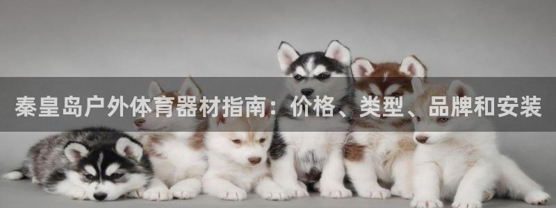 极悦平台客服团队怎么样：秦皇岛户外体育器材指南：价格