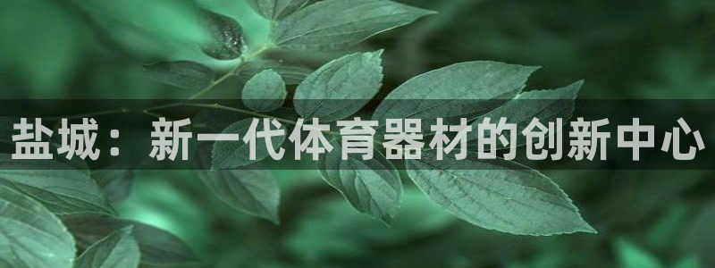 加盟极悦教育怎么样：盐城：新一代体育器材的创新中心