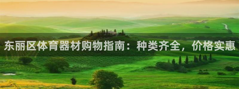 极悦平台登录不进去怎么回事呀：东丽区体育器材购物指南