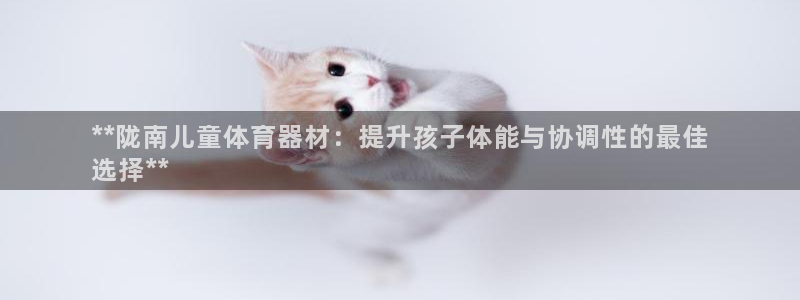 极悦平台官方网址是什么：**陇南儿童体育器材：提升孩