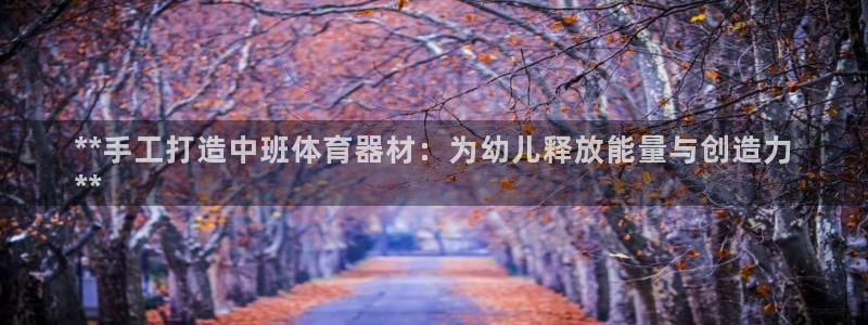 极悦平台注册失败如何解决方法：**手工打造中班体育器