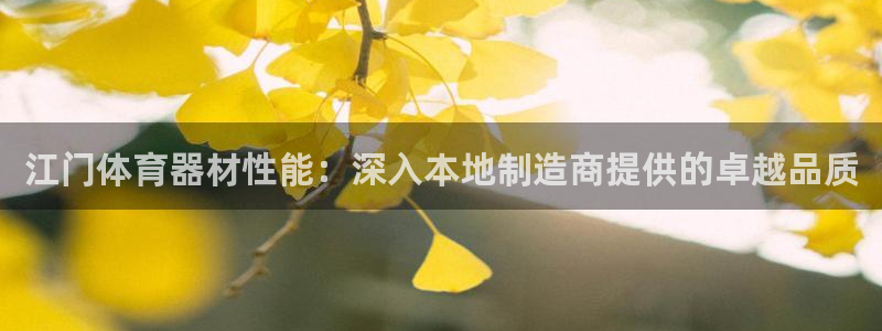 极悦官网首页：江门体育器材性能：深入本地制造商提供的