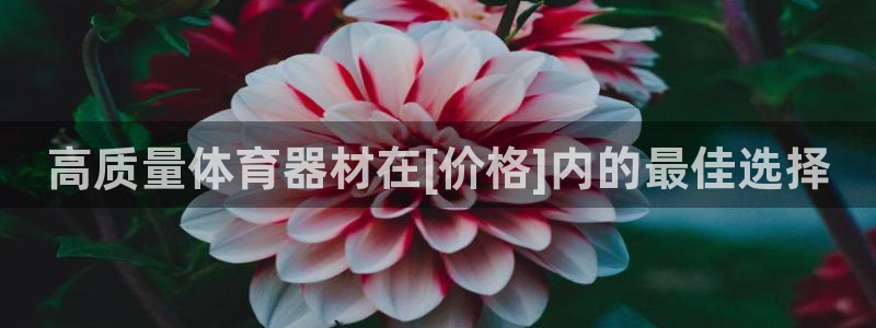 极悦平台用户评价与反馈在哪里：高质量体育器材在[价格
