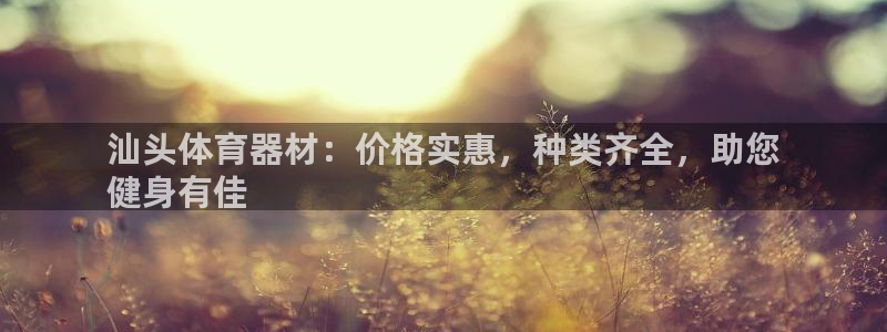 极悦平台注册登录不上：汕头体育器材：价格实惠，种类齐