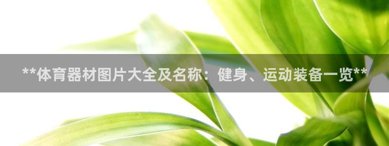 极悦平台发7O777：**体育器材图片大全及名称：健