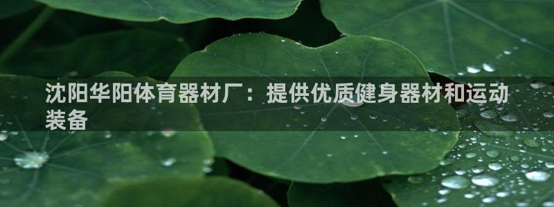 极悦平台官网入口登录：沈阳华阳体育器材厂：提供优质健