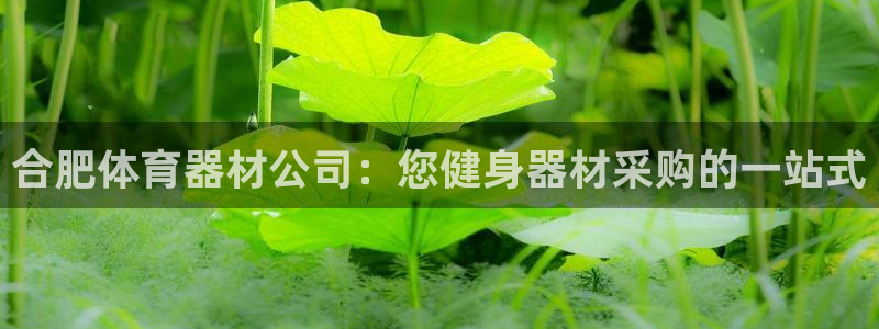 极悦娱乐登录拒绝访问怎么办理：合肥体育器材公司：您健