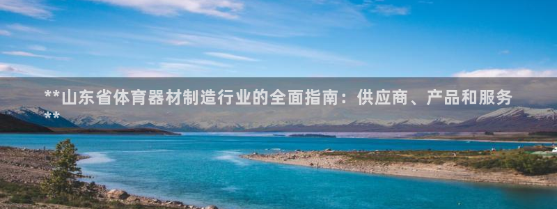 极悦平台注册申请流程详解：**山东省体育器材制造行业