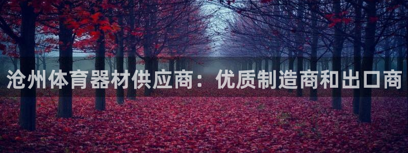 极悦平台客服的联系方式是什么：沧州体育器材供应商：优
