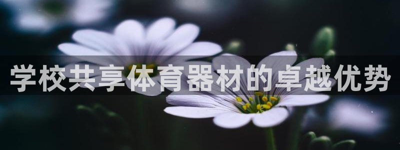 极悦娱乐创始人背景故事简介：学校共享体育器材的卓越优