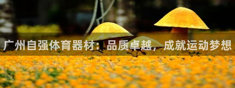 极悦平台登录好7.0.2.4安装：广州自强体育器材：