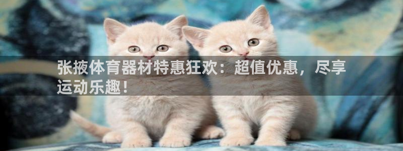 极悦平台官网登录网址：张掖体育器材特惠狂欢：超值优惠