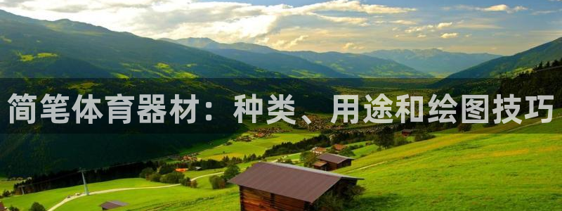 极悦平台与网易合作详情在哪：简笔体育器材：种类、用途
