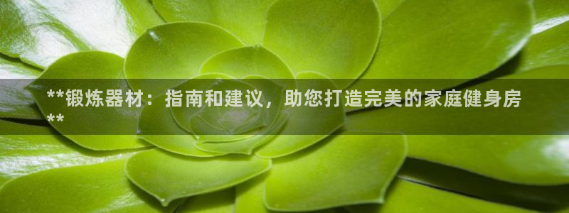 极悦平台代理怎么赚钱：**锻炼器材：指南和建议，助您