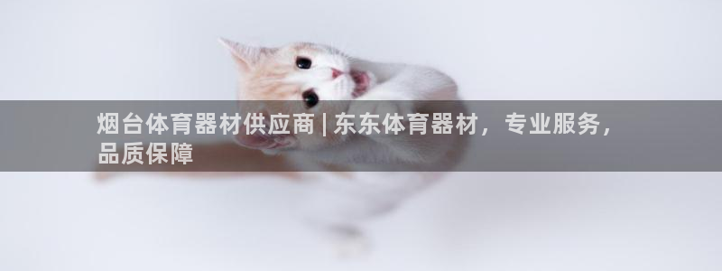极悦娱乐官网最新版本更新内容：烟台体育器材供应商 |