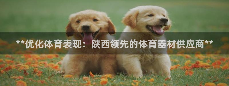 极悦平台注册用户名生成器下载：**优化体育表现：陕西