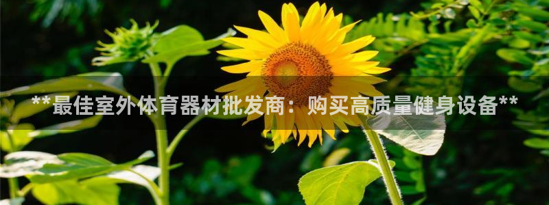 极悦官网旗舰店：**最佳室外体育器材批发商：购买高质