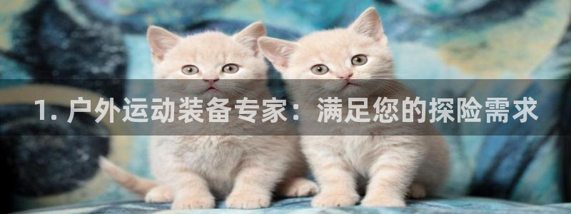极悦平台注册用户名验证：1. 户外运动装备专家：满足