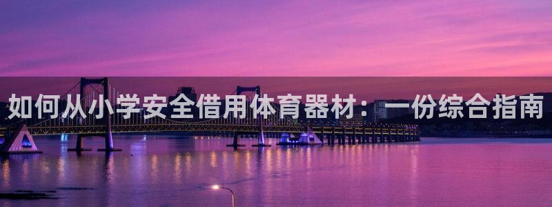 极悦平台官方网站入口下载：如何从小学安全借用体育器材