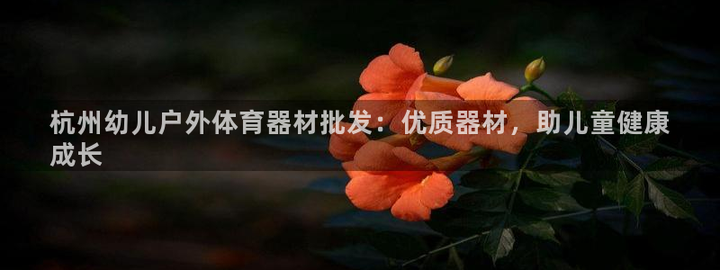 极悦娱乐贴吧：杭州幼儿户外体育器材批发：优质器材，助