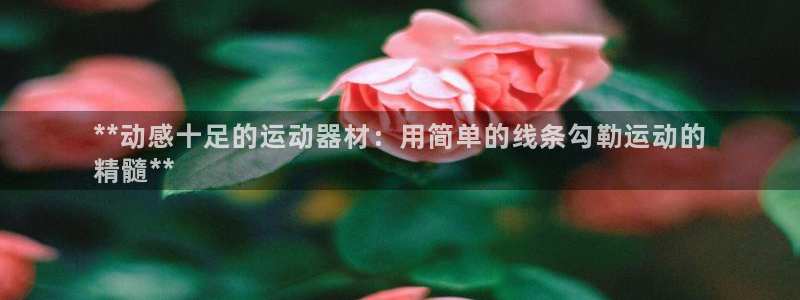 极悦娱乐的创始人背景故事：**动感十足的运动器材：用