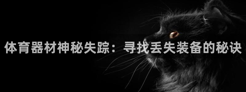 极悦平台注册登录不了：体育器材神秘失踪：寻找丢失装备