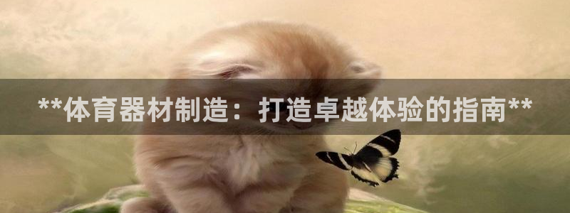 极悦平台官网登录入口网址是什么：**体育器材制造：打