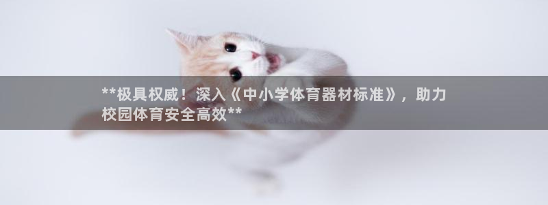 极悦平台安全吗可靠吗：**极具权威！深入《中小学体育