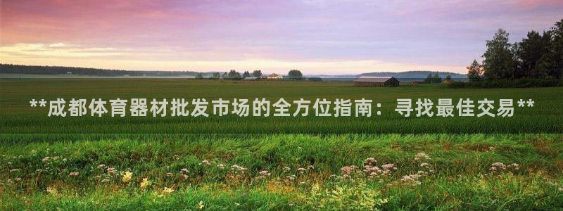 极悦娱乐：**成都体育器材批发市场的全方位指南：寻找