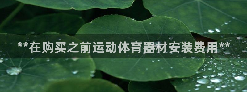 加盟极悦教育多少钱：**在购买之前运动体育器材安装费